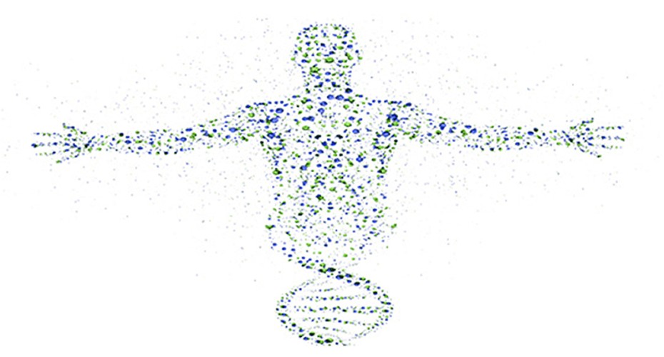 Data Science and Neuroinformatics research group