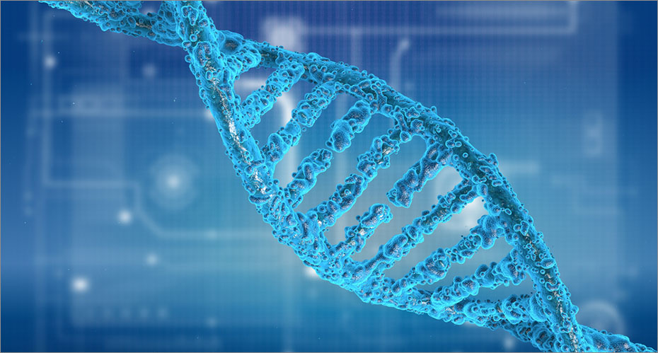 DNA strand