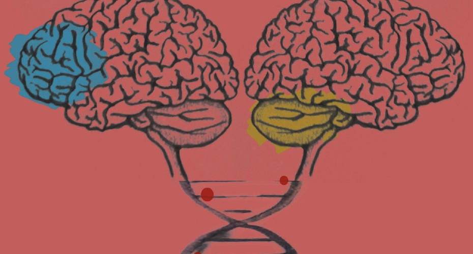 Neurogenomics research group