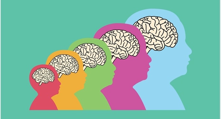 Neurodevelopment research group